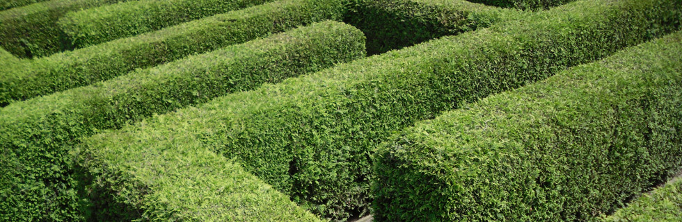 Psychologische Beratung und Coaching